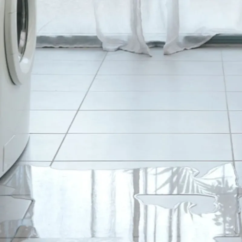 Appliance Leak Cleanup in Miami, TX