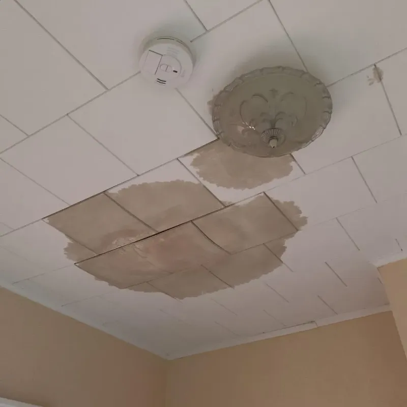 Ceiling Water Damage Repair in Miami, TX