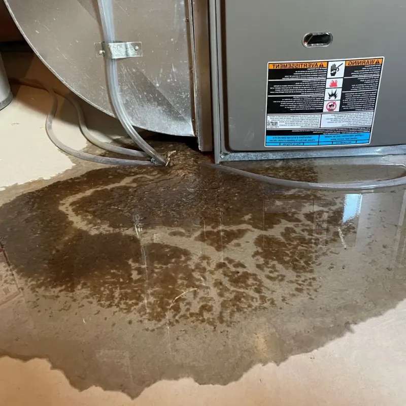 Pipe Burst and Leak Restoration in Miami, TX