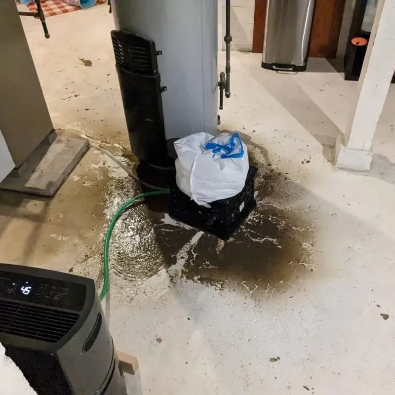 Sewage Backup Cleanup Service in Miami, TX